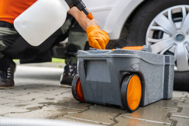 How Our Tree Care Process Works  in  Mount Vernon, MD
